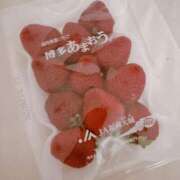 ヒメ日記 2025/04/04 13:16 投稿 りいさ 吉原ファーストレディ