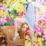 ヒメ日記 2025/06/19 08:11 投稿 えまりん 吉原ファーストレディ