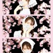 ヒメ日記 2026/04/04 08:16 投稿 えまりん 吉原ファーストレディ