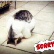 ヒメ日記 2025/01/05 05:06 投稿 あい 吉原ファーストレディ