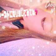 ヒメ日記 2025/10/10 05:28 投稿 あい 吉原ファーストレディ