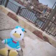 ヒメ日記 2025/01/08 15:06 投稿 かりん 吉原ファーストレディ