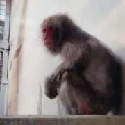 ヒメ日記 2025/02/07 00:16 投稿 かりん 吉原ファーストレディ