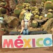 ヒメ日記 2025/02/22 11:16 投稿 かりん 吉原ファーストレディ