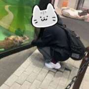 ヒメ日記 2025/03/01 09:16 投稿 かりん 吉原ファーストレディ