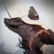 ヒメ日記 2025/03/23 09:16 投稿 かりん 吉原ファーストレディ