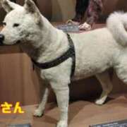 ヒメ日記 2025/04/08 09:09 投稿 かりん 吉原ファーストレディ