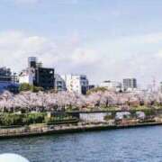 ヒメ日記 2025/04/18 06:46 投稿 かりん 吉原ファーストレディ