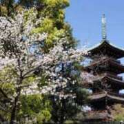 ヒメ日記 2025/04/18 19:06 投稿 かりん 吉原ファーストレディ