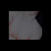 ヒメ日記 2025/04/23 00:21 投稿 かりん 吉原ファーストレディ