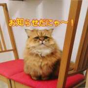 ヒメ日記 2025/04/26 06:06 投稿 かりん 吉原ファーストレディ