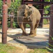 ヒメ日記 2025/04/28 09:16 投稿 かりん 吉原ファーストレディ