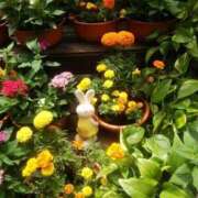 ヒメ日記 2025/05/18 11:07 投稿 かりん 吉原ファーストレディ