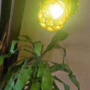 ヒメ日記 2025/06/06 00:17 投稿 かりん 吉原ファーストレディ