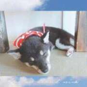 ヒメ日記 2025/06/07 09:06 投稿 かりん 吉原ファーストレディ