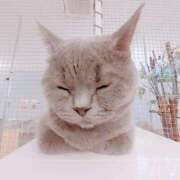 ヒメ日記 2025/06/14 00:16 投稿 かりん 吉原ファーストレディ