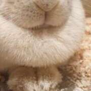 ヒメ日記 2025/06/15 05:36 投稿 かりん 吉原ファーストレディ