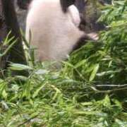 ヒメ日記 2025/07/01 11:16 投稿 かりん 吉原ファーストレディ