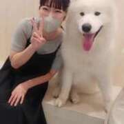 ヒメ日記 2025/07/26 00:16 投稿 かりん 吉原ファーストレディ