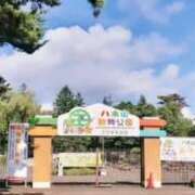 ヒメ日記 2025/08/14 21:50 投稿 かりん 吉原ファーストレディ