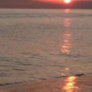 ヒメ日記 2025/09/01 17:16 投稿 かりん 吉原ファーストレディ