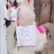 ヒメ日記 2025/09/17 09:13 投稿 かりん 吉原ファーストレディ