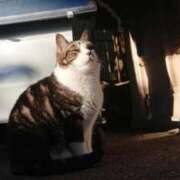 ヒメ日記 2025/09/29 09:14 投稿 かりん 吉原ファーストレディ