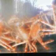 ヒメ日記 2025/10/04 15:24 投稿 かりん 吉原ファーストレディ