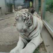 ヒメ日記 2025/10/14 06:36 投稿 かりん 吉原ファーストレディ