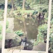 ヒメ日記 2025/10/18 06:46 投稿 かりん 吉原ファーストレディ