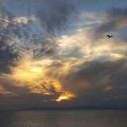 ヒメ日記 2025/10/19 23:46 投稿 かりん 吉原ファーストレディ