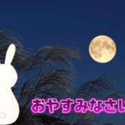 ヒメ日記 2025/11/07 00:26 投稿 かりん 吉原ファーストレディ