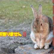 ヒメ日記 2025/11/19 04:56 投稿 かりん 吉原ファーストレディ