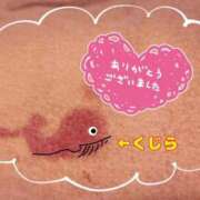 ヒメ日記 2025/12/01 17:17 投稿 かりん 吉原ファーストレディ