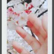 ヒメ日記 2026/04/08 00:16 投稿 かりん 吉原ファーストレディ