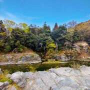 ヒメ日記 2026/04/11 05:56 投稿 かりん 吉原ファーストレディ