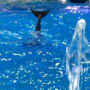 ヒメ日記 2026/04/14 00:56 投稿 かりん 吉原ファーストレディ