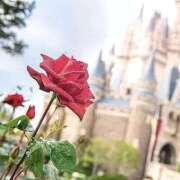 ヒメ日記 2026/04/15 09:06 投稿 かりん 吉原ファーストレディ