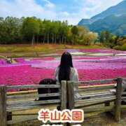 ヒメ日記 2026/04/20 10:18 投稿 かりん 吉原ファーストレディ