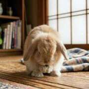ヒメ日記 2026/04/25 06:26 投稿 かりん 吉原ファーストレディ