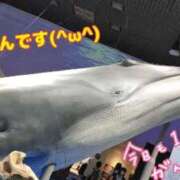 ヒメ日記 2026/09/29 06:46 投稿 かりん 吉原ファーストレディ