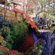 ヒメ日記 2026/10/03 09:06 投稿 かりん 吉原ファーストレディ