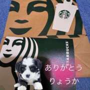 ヒメ日記 2025/03/15 00:06 投稿 りょうか 吉原ファーストレディ