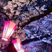 ヒメ日記 2025/04/04 14:26 投稿 りょうか 吉原ファーストレディ