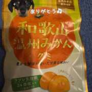 ヒメ日記 2025/10/04 00:20 投稿 りょうか 吉原ファーストレディ