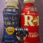 ヒメ日記 2025/10/04 00:25 投稿 りょうか 吉原ファーストレディ