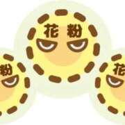 ヒメ日記 2025/10/04 15:46 投稿 りょうか 吉原ファーストレディ