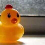 りょうか ♨️イベント♨️ 吉原ファーストレディ