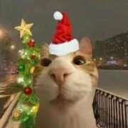 ヒメ日記 2025/12/20 15:46 投稿 りょうか 吉原ファーストレディ