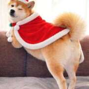 りょうか ❤️サンタコス❤️ 吉原ファーストレディ